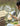 A+-28.jpg__PID:e2b91382-f279-4db4-8c03-cd5a96e50df3