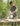 A+-29.jpg__PID:568bd3ec-e2b9-4382-b279-fdb4cc03cd5a